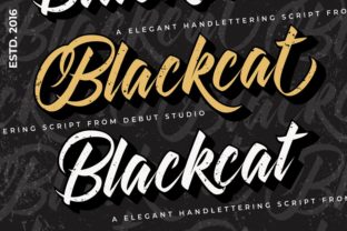 Blackcat: A Playfully Nostalgic Font for Vintage Design